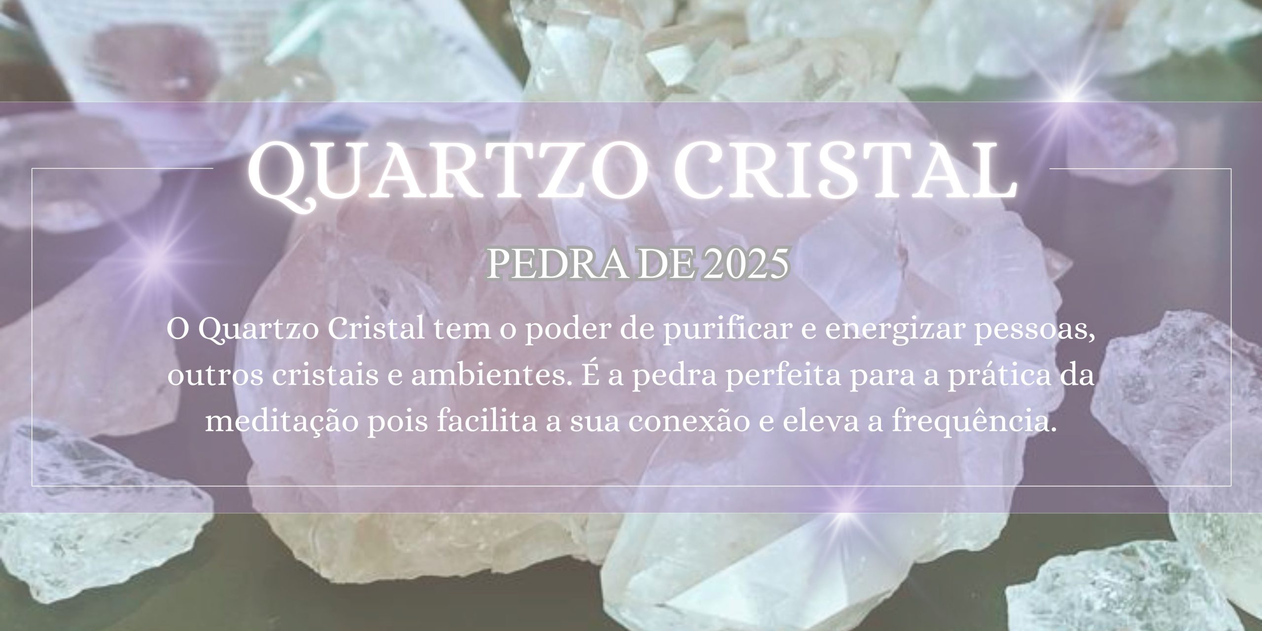 Banner-Aniversario-Infantil-Ilustrativo-Branco-Verde-e-Marrom2-compressed