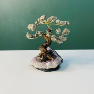 Árvore da Felicidade - Pirita